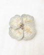 画像1: PETAL FLOWER ブローチ (1)